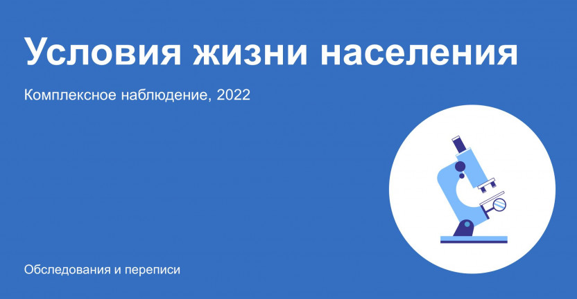 Итоги комплексного наблюдения условий жизни населения